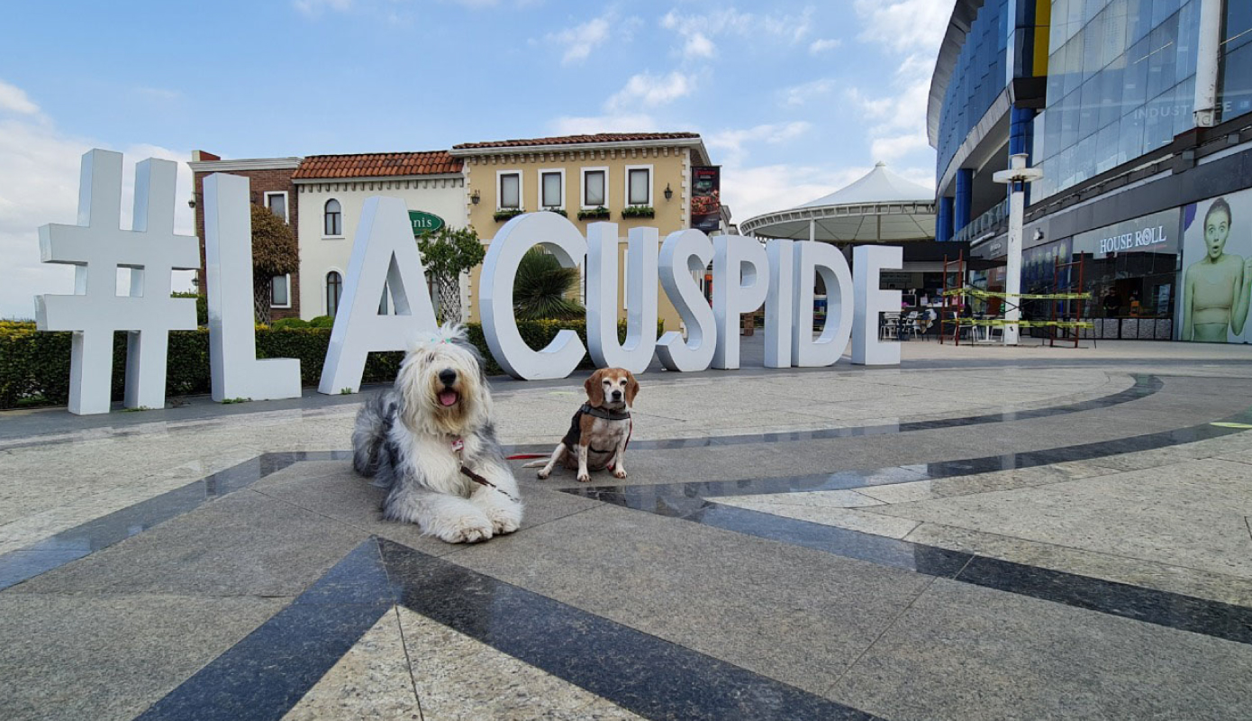 Cúspide skay mall